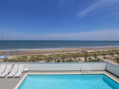 Snow Geese Dunes in Outer Banks, NC